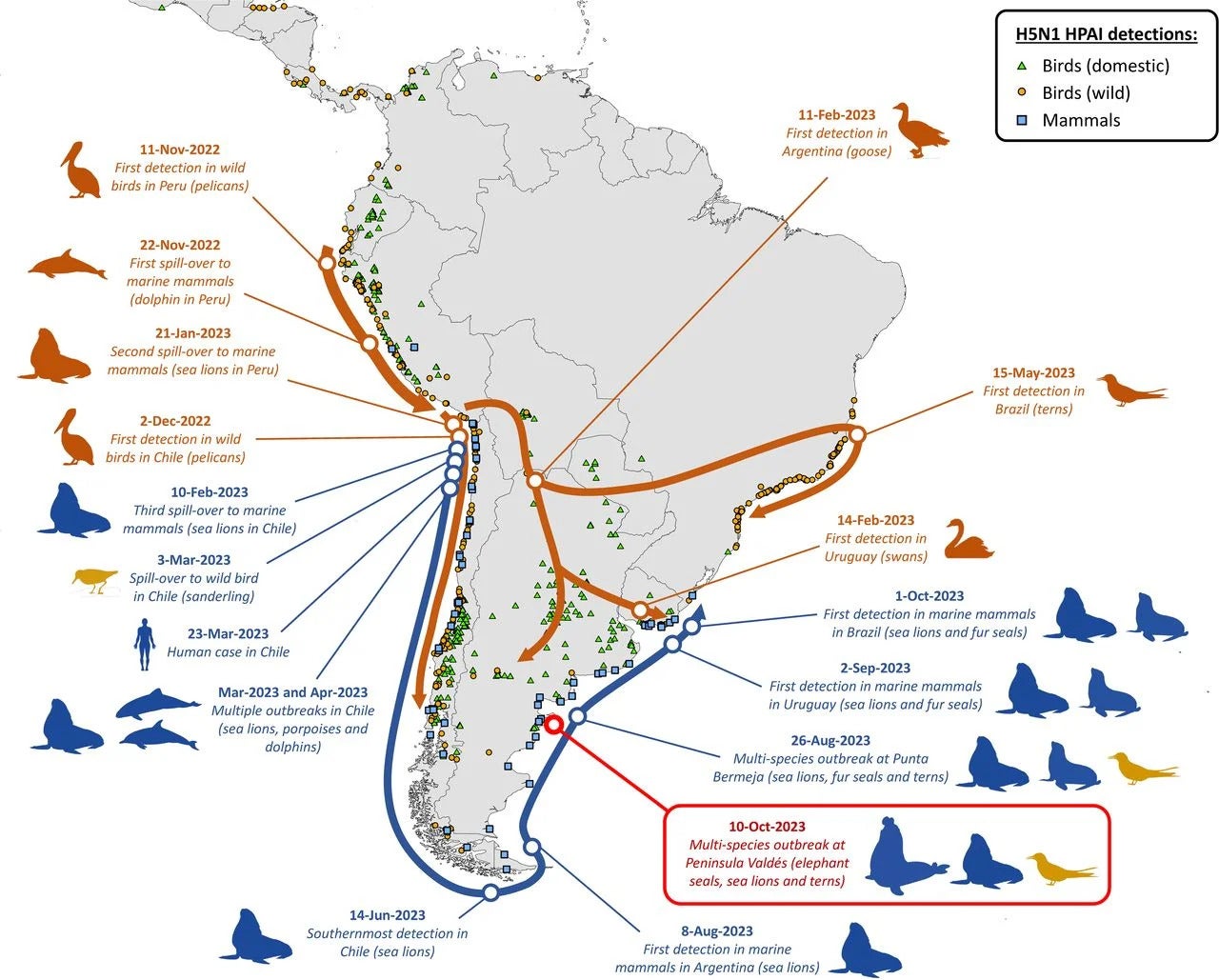 Map of Argentina with areas of H5N1 detection and species involved (seals, sea lions, birds even a dolphin) noted