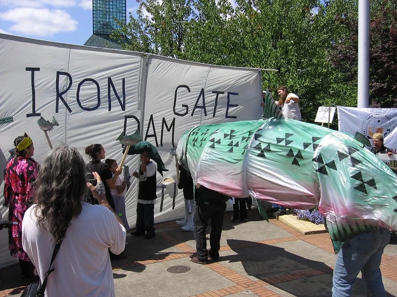 people in a fish costume in front of a fabric version of the Iron Gate Dam