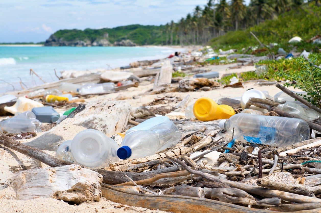 Plastic bottles litter a tropical beach