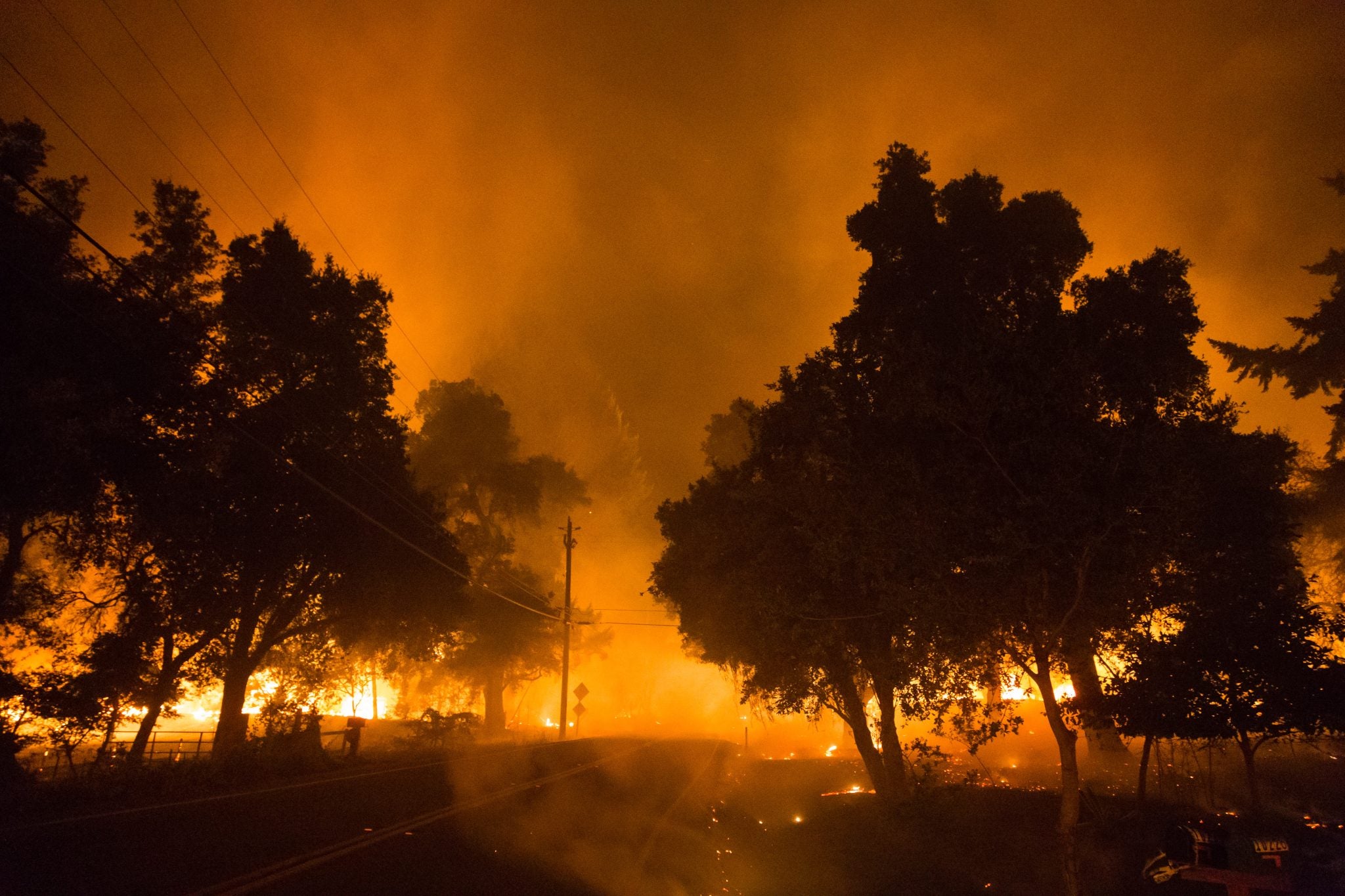 A street lined with trees on fire