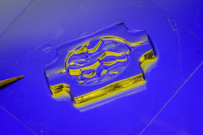 Closeup of a microscope sample that is shaped like a plus sign with wavy shapes in the middle.