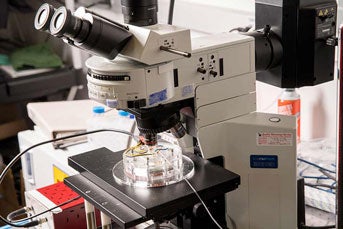 lab testing