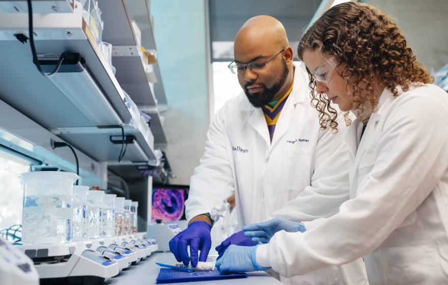 Two scientists in white lab coats work together in a laboratory.