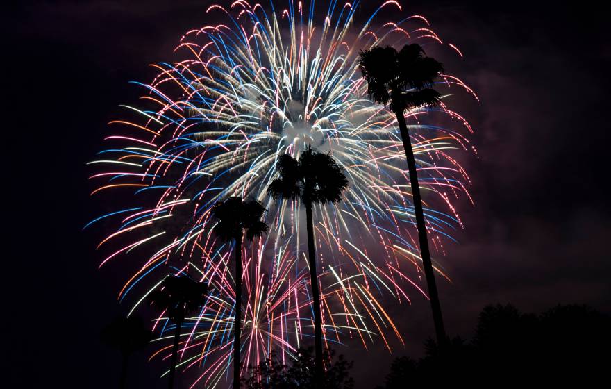 Fireworks behind a row of palm trees in California