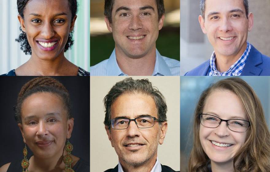 Collage of UC professors
