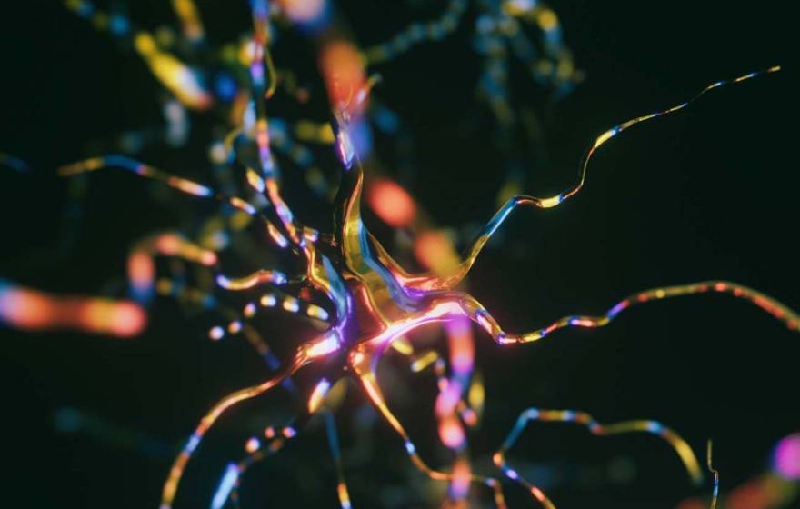 Neural signals