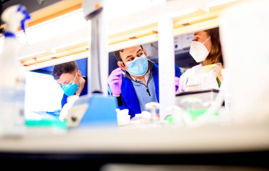Dr. Sagar Bapat speaks with staff research associate Sarah Gayer in his lab at UCSF’s Parnassus campus.