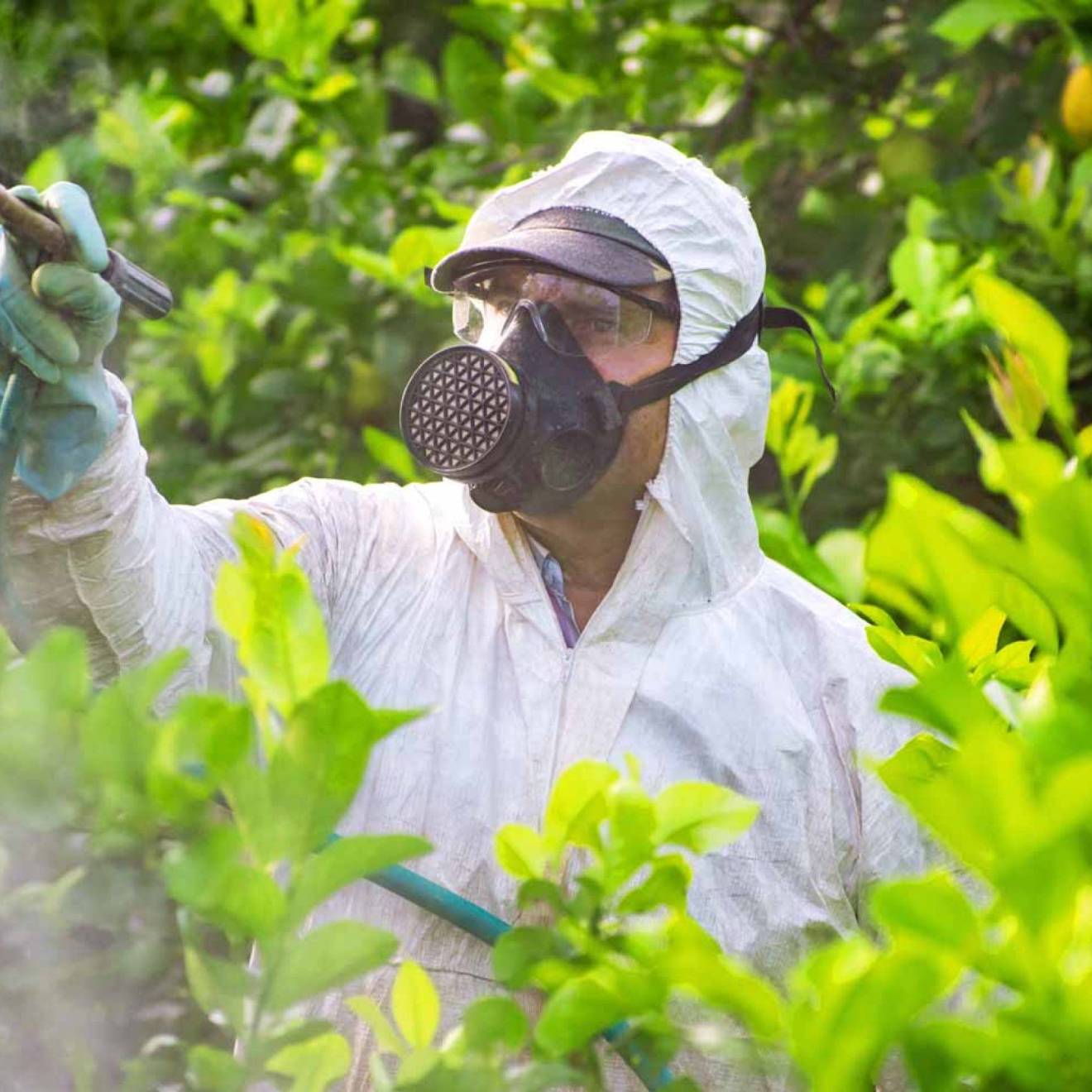 A man in PPE sprays chemicals while surrounded by greenery