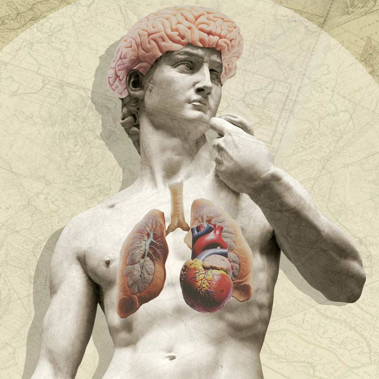 Collage of a classical marble statue with an exposed, vividly colored brain, heart and lungs, set against a vintage map background.